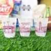 Mississippi State Campus Skyline - Starkville {Frosted Cup 10 Pack} - Image 4